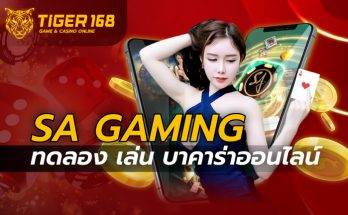 sa gaming ทดลอง เล่น