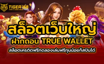สล็อตเว็บใหญ่ ฝากถอน true wallet สล็อตเครดิตฟรี ทดลองเล่นฟรี ทุนน้อยก็สปินได้